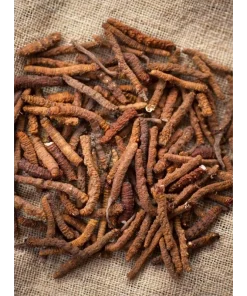 Tiens Cordycafe Robuszta 3in1 por (12 tasakx16 g) 2