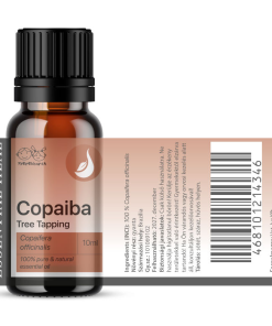Copaiba Oleoresin – Copaiba illóolaj Tree Tapping 2