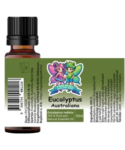 Eukaliptusz Australiana radiata illóolaj 100 10ml kiteritett